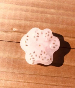 Préparation Gâteries Glacées Au Melon D'Eau Pour Chiens - Mme Gâteries -Rocky Soldes Boutique 40279 2 optimize