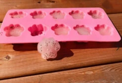 Préparation Gâteries Glacées Au Melon D'Eau Pour Chiens - Mme Gâteries -Rocky Soldes Boutique 40279 4 optimize