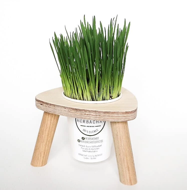 Station Demi-Portion Pour Chats - Herbachat 3 Station Demi-Portion Pour Chats - Herbachat