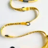 Laisse Jaune Multifonctionnelle 7-en-1 « BESOIN D'ESPACE » Pour Chiens - Beli Concept -Rocky Soldes Boutique 50010 1 optimize