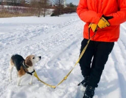 Laisse Jaune Multifonctionnelle 7-en-1 « BESOIN D'ESPACE » Pour Chiens - Beli Concept -Rocky Soldes Boutique 50010 3 optimize