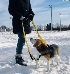 Laisse Jaune Multifonctionnelle 7-en-1 « BESOIN D'ESPACE » Pour Chiens - Beli Concept -Rocky Soldes Boutique 50010 5 optimize