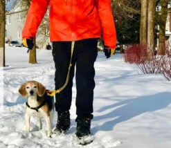 Laisse Jaune Multifonctionnelle 7-en-1 « BESOIN D'ESPACE » Pour Chiens - Beli Concept -Rocky Soldes Boutique 50010 6 optimize