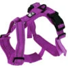 Harnais Pour Chiens CHARLIE Mauve - Le Chien Blanc 2 Harnais Pour Chiens CHARLIE Mauve - Le Chien Blanc -Rocky Soldes Boutique 50672 1 optimize