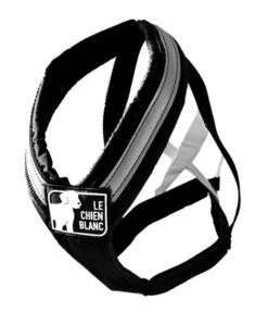 Harnais De Traction Rouge Pour Chiens ELITE - Le Chien Blanc