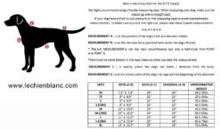 Harnais De Traction Rouge Pour Chiens ELITE - Le Chien Blanc -Rocky Soldes Boutique 50750 4 optimize