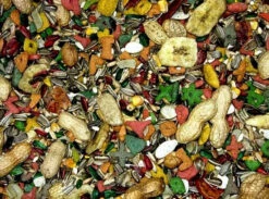 Nourriture Pour Perroquets VITOMAX - Zoomax 7 Nourriture Pour Perroquets VITOMAX - Zoomax -Rocky Soldes Boutique 82260 3 optimize