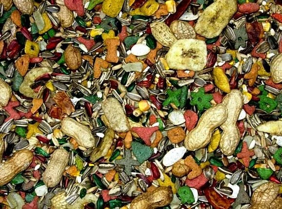 Nourriture Pour Perroquets VITOMAX - Zoomax 5 Nourriture Pour Perroquets VITOMAX - Zoomax – Image 3