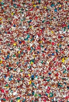 Nourriture Pour Colombe/Tourterelle VITOMAX - Zoomax 5 Nourriture Pour Colombe/Tourterelle VITOMAX - Zoomax – Image 3