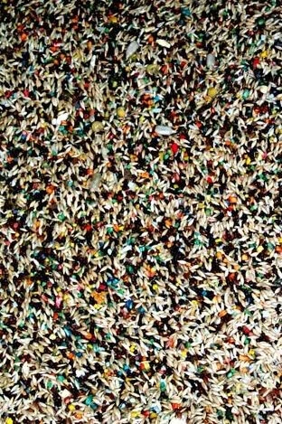 Nourriture Pour Serins FRUITOMAX - Zoomax 4 Nourriture Pour Serins FRUITOMAX - Zoomax – Image 3