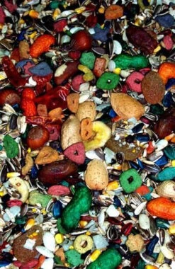 Nourriture Pour Perroquets FRUITOMAX - Zoomax 7 Nourriture Pour Perroquets FRUITOMAX - Zoomax -Rocky Soldes Boutique 82360 3 optimize