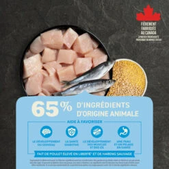 Nourriture Pour Chiots Au Poulet - ACANA Grains Santé 7 Nourriture Pour Chiots Au Poulet - ACANA Grains Santé -Rocky Soldes Boutique ACANA Healthy Grains Puppy Bowl Image Canada French optimize