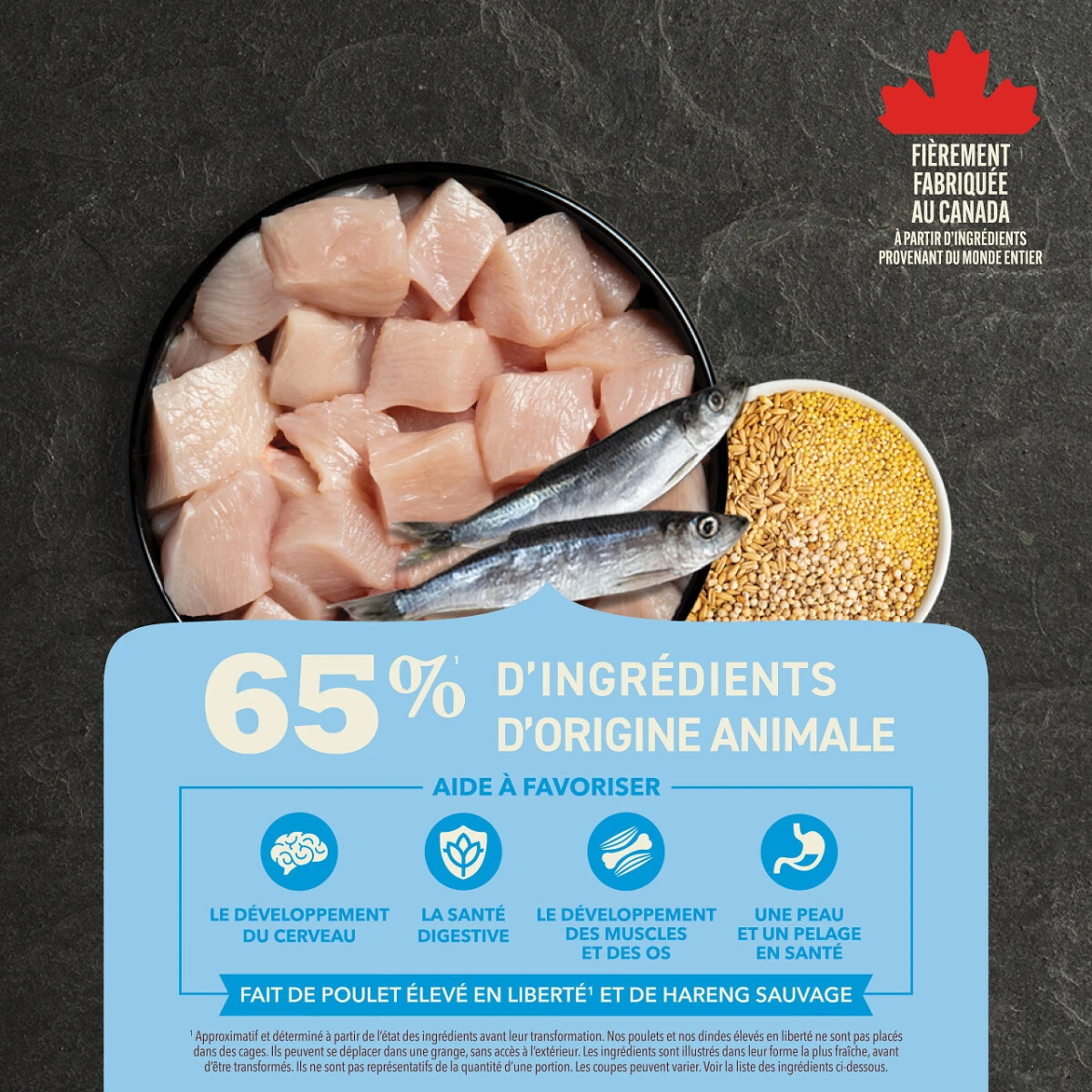 Nourriture Pour Chiots Au Poulet - ACANA Grains Santé 5 Nourriture Pour Chiots Au Poulet - ACANA Grains Santé – Image 3