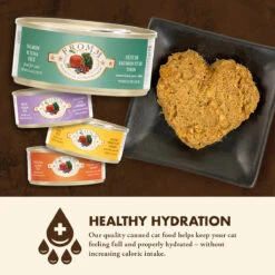 Nourriture En Boîte Pour Chats Saumon Et Thon - Fromm Four-Star -Rocky Soldes Boutique Fr853 3 optimize