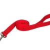 Laisse De Nylon Rouge Pour Chien - Hunter Brand -Rocky Soldes Boutique Ht12400 1 optimize