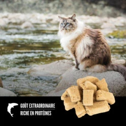 Gâterie Lyophilisé Six Fish Pour Chats - ORIJEN 8 Gâterie Lyophilisé Six Fish Pour Chats - ORIJEN -Rocky Soldes Boutique ORIJEN Freeze Dried Six Fish Cat Treat Shape Canada French optimize