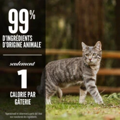 Gâterie Lyophilisé Recette Toundra Pour Chats - ORIJEN 7 Gâterie Lyophilisé Recette Toundra Pour Chats - ORIJEN -Rocky Soldes Boutique ORIJEN Freeze Dried Tundra Cat Treat Feature Canada French optimize