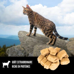 Gâterie Lyophilisé Recette Toundra Pour Chats - ORIJEN 8 Gâterie Lyophilisé Recette Toundra Pour Chats - ORIJEN -Rocky Soldes Boutique ORIJEN Freeze Dried Tundra Cat Treat Shape Canada French optimize