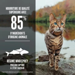Nourriture Sans Grains Pour Chats Six Fish - ORIJEN -Rocky Soldes Boutique ORIJEN Six Fish Cat Percentages Image Canada French optimize