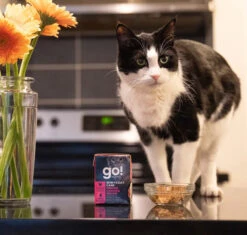 Nourriture En Boîte Au Poulet Haché Pour Chats - Go ! Skin + Coat Care -Rocky Soldes Boutique Pc9604 3 optimize