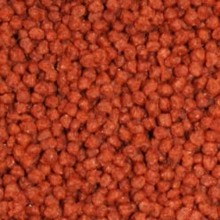 Devant -Rocky Soldes Boutique a5814 2 optimize