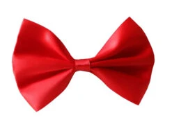 Noeud Papillon Rouge Pour Animaux - AnimObouffe