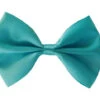 Noeud Papillon Turquoise Pour Animaux - AnimObouffe -Rocky Soldes Boutique ax30955 1 optimize