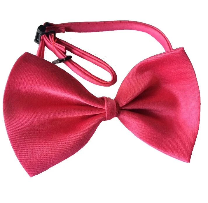 Noeud Papillon Turquoise Pour Animaux - AnimObouffe 4 Noeud Papillon Turquoise Pour Animaux - AnimObouffe – Image 2