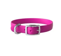 Collier Pour Chien En Thermoplastique Bond Pet - Rose -Rocky Soldes Boutique bp0006 4 optimize