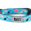 Collier Pour Chat Ă Motifs Poisson Bleu - Rc Pets 2 Collier Pour Chat Ă Motifs Poisson Bleu - Rc Pets -Rocky Soldes Boutique c00518 copy 1 optimize