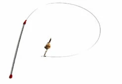 Agace Chat Avec Souris - Go Cat