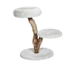 Arbre à Chat Savana Moyen 2 Niveaux - Bud'z