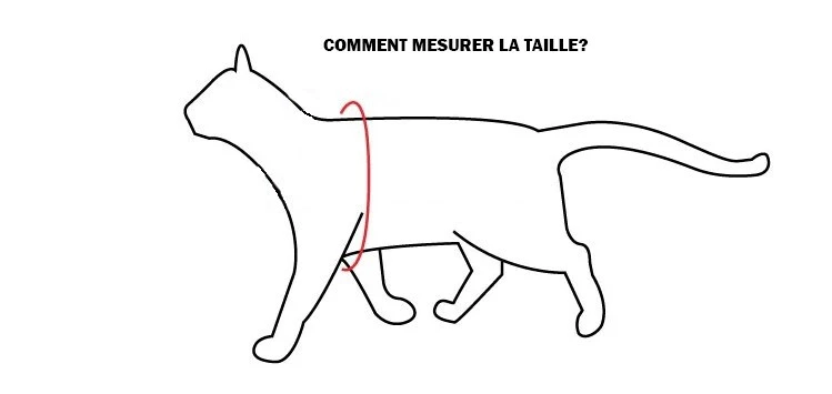 Harnais De Nylon Ajustable Pour Chats Motifs De Pattes - Hunter Brand 4 Harnais De Nylon Ajustable Pour Chats Motifs De Pattes - Hunter Brand – Image 2