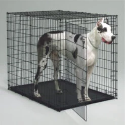 Cage De Métal Noir Pour Chiens Géants