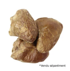 Coeur De Canard Lyophilisé - Vital Essentials