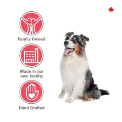 Gâterie Dentaire à Saveur De Boeuf Pour Chiens - Crumps' Naturals -Rocky Soldes Boutique d5619 4 optimize