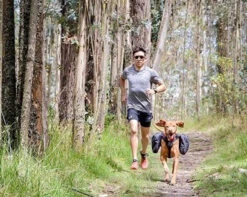 Sac-à-Dos Pour Chiens Quest Day Pack Noir - RcPets -Rocky Soldes Boutique d829190 3 optimize