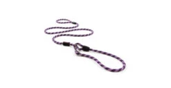 Laisse Luca Mince Pour Chiens Mauve - EzyDog