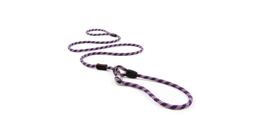Laisse Luca Mince Pour Chiens Mauve - EzyDog 3 Laisse Luca Mince Pour Chiens Mauve - EzyDog