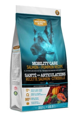 Nourriture Pour Chiens Santé Des Articulations Au Saumon - Wholesome Blend