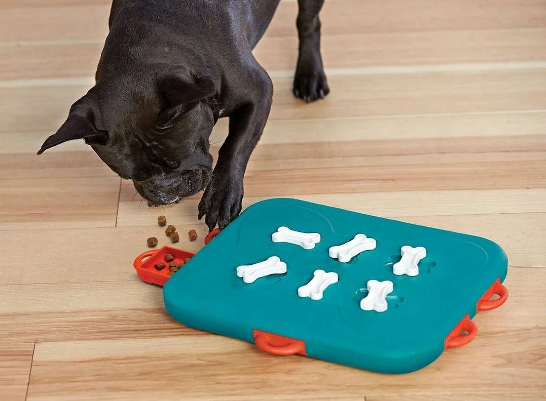 Jeu Interactif Casino Niveau 3 - Outward Houd 4 Jeu Interactif Casino Niveau 3 - Outward Houd – Image 2