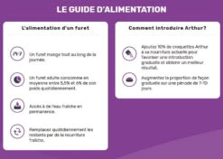 Arthur Ferret Nourriture Pour Furet Au Poulet Et Hareng 2.5kg -Rocky Soldes Boutique ga2460 6 optimize