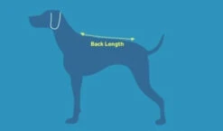 Sac-à-Dos Pour Chiens Quest Day Pack Noir - RcPets -Rocky Soldes Boutique harnais rcpet optimize