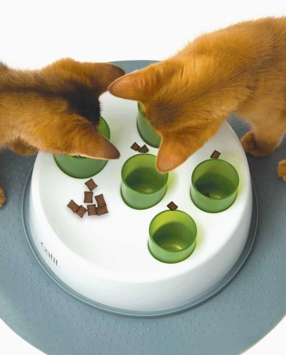 Tubes à Croquettes Pour Chats Sense 2.0- Catit 4 Tubes à Croquettes Pour Chats Sense 2.0- Catit – Image 2