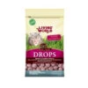 Gâteries Aux Baies Sauvage Pour Hamster 75gr- Living World -Rocky Soldes Boutique hg60306 1 optimize