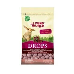 Gâteries Aux Baies Sauvages Pour Lapins 75gr- Living World