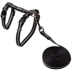 Ensemble Laisse 1,8m Et Harnais Noir Alley - Rogz