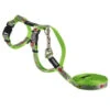 Ensemble Laisse 1,8m Et Harnais Vert Reflecto - Rogz 2 Ensemble Laisse 1,8m Et Harnais Vert Reflecto - Rogz -Rocky Soldes Boutique k50017 optimize