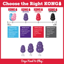 Kong Classic Mauve Pour Chiens Sénior - Kong -Rocky Soldes Boutique kg2812 2 optimize