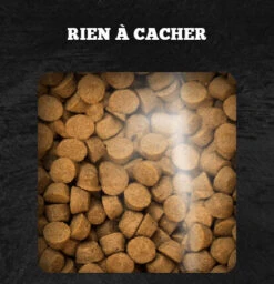 Devant -Rocky Soldes Boutique ob192 1 optimize 1